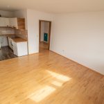 Wohnbereich mit Küche