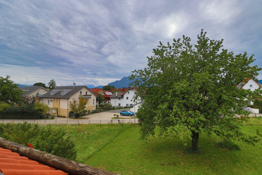 Ausblick